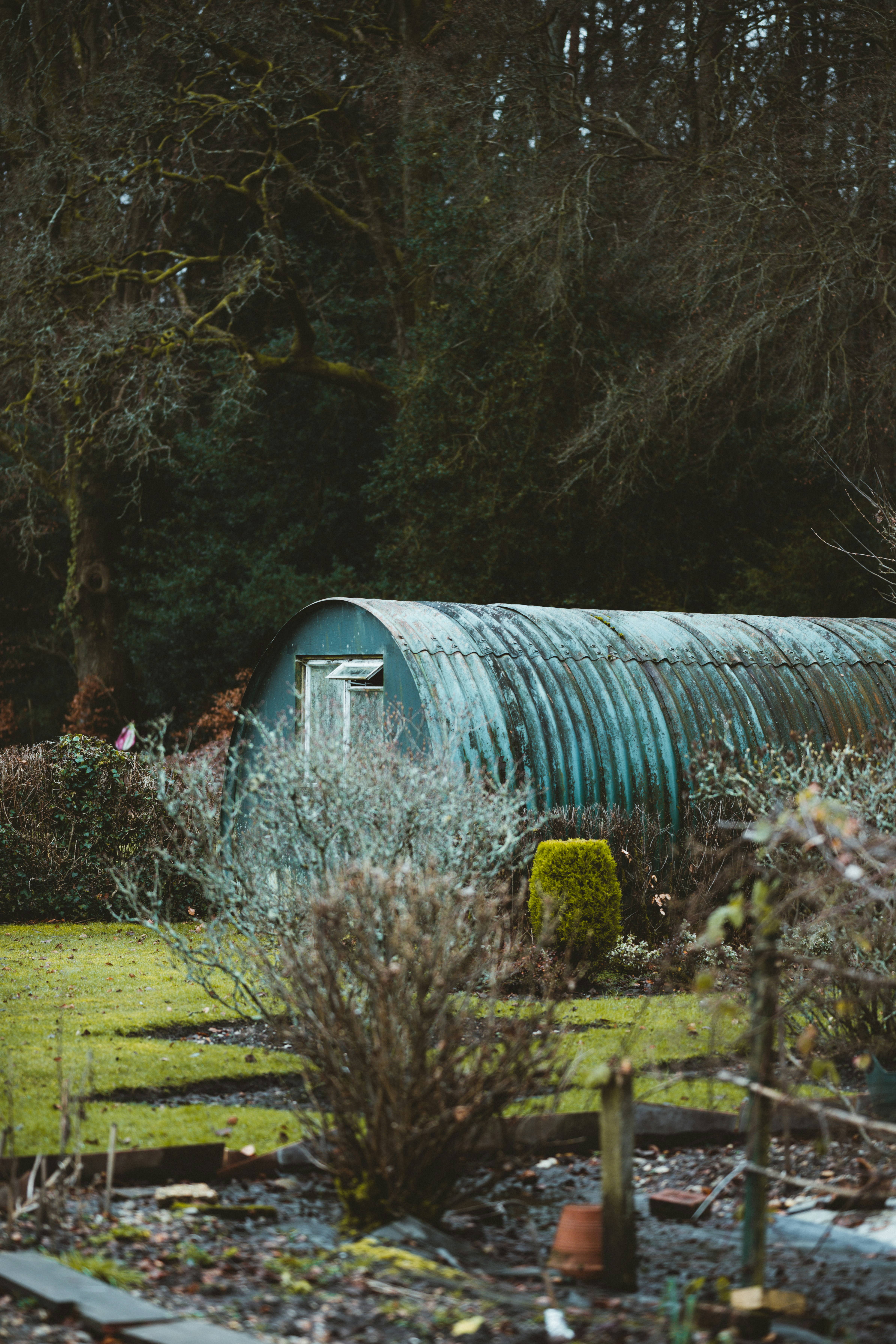 Photo by anniespratt