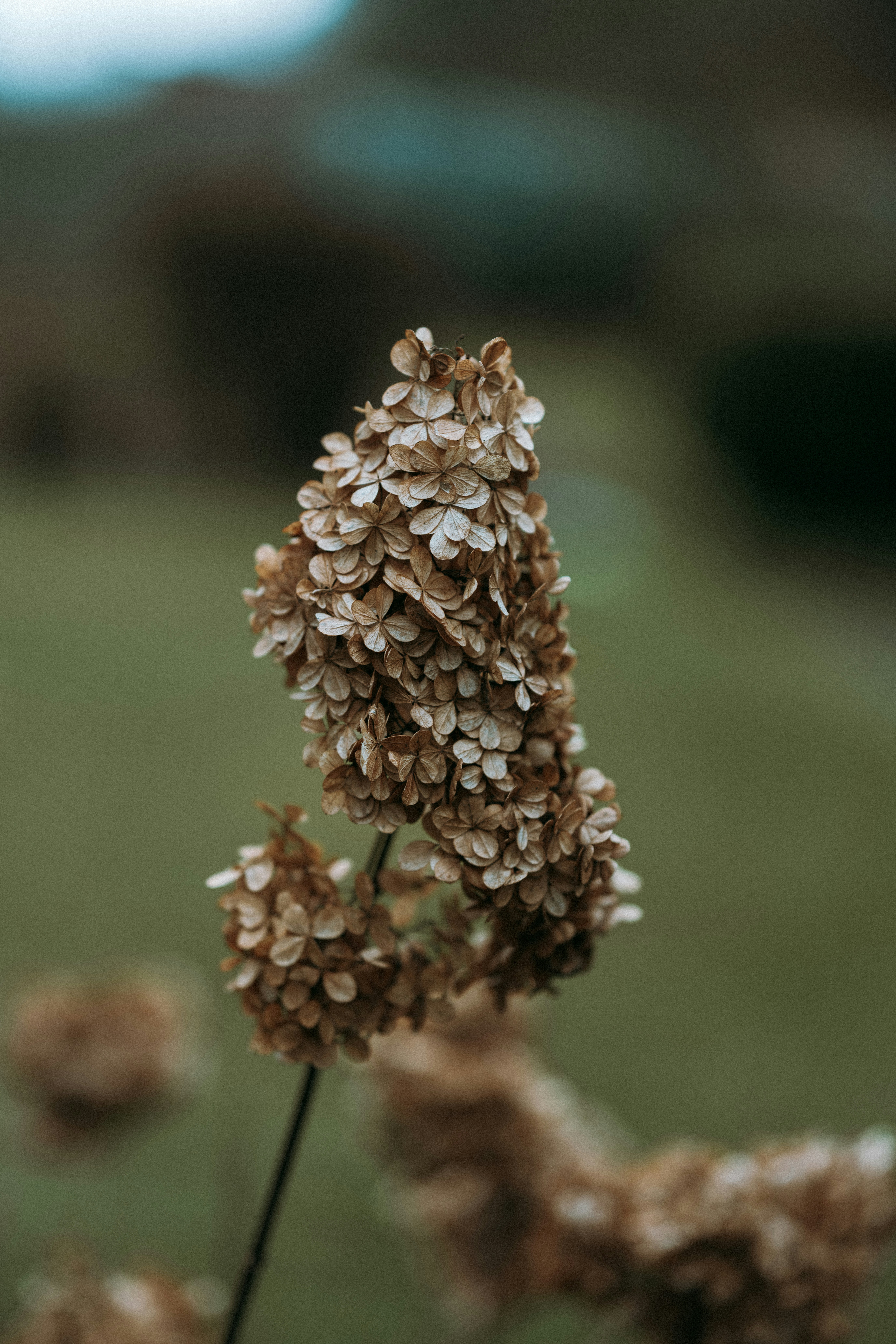 Photo by anniespratt