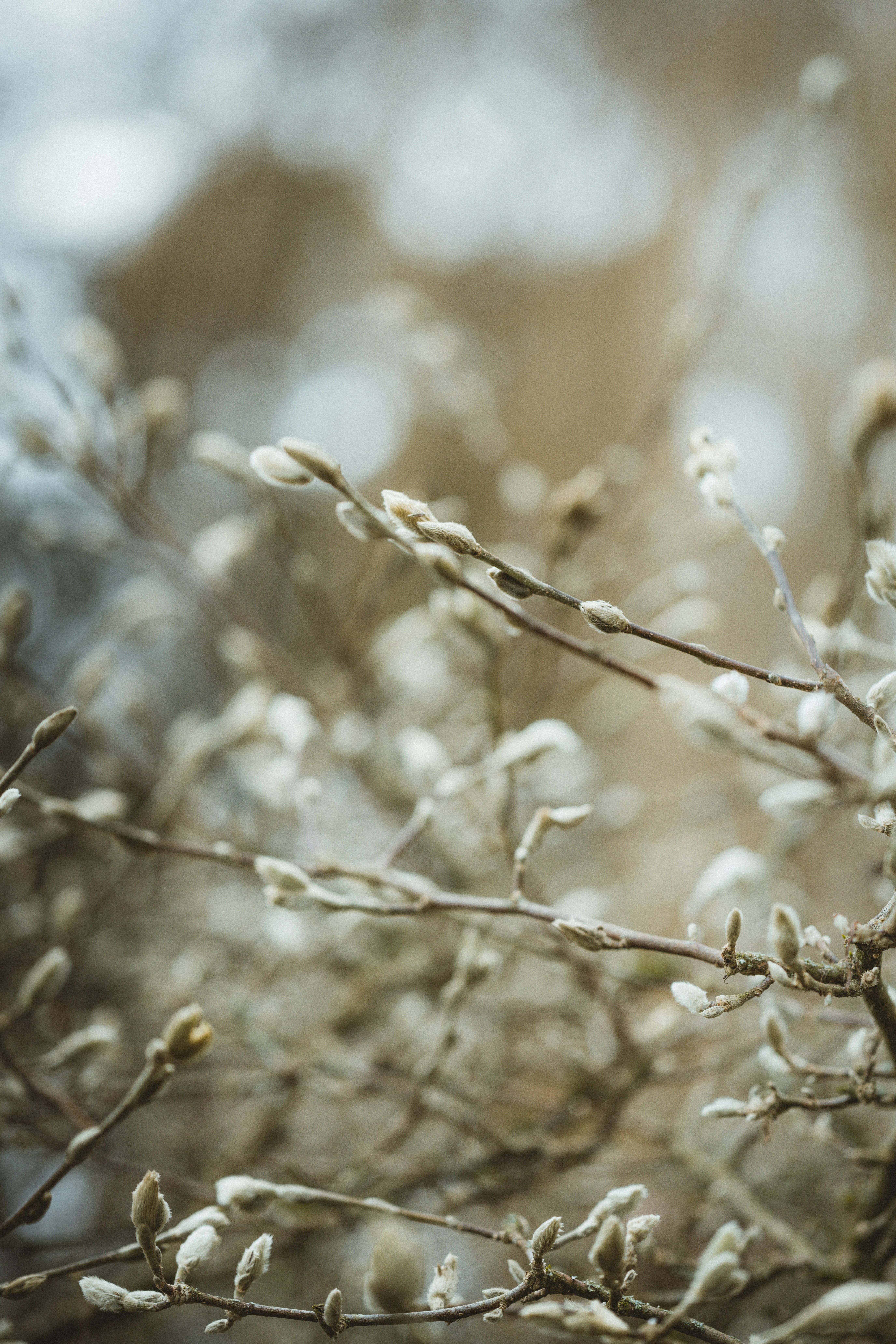 Photo by anniespratt