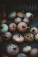 A collection of onions with various shades of brown and yellow rests on a dark surface. The onions have a natural, slightly rustic appearance with some having dried outer skins.