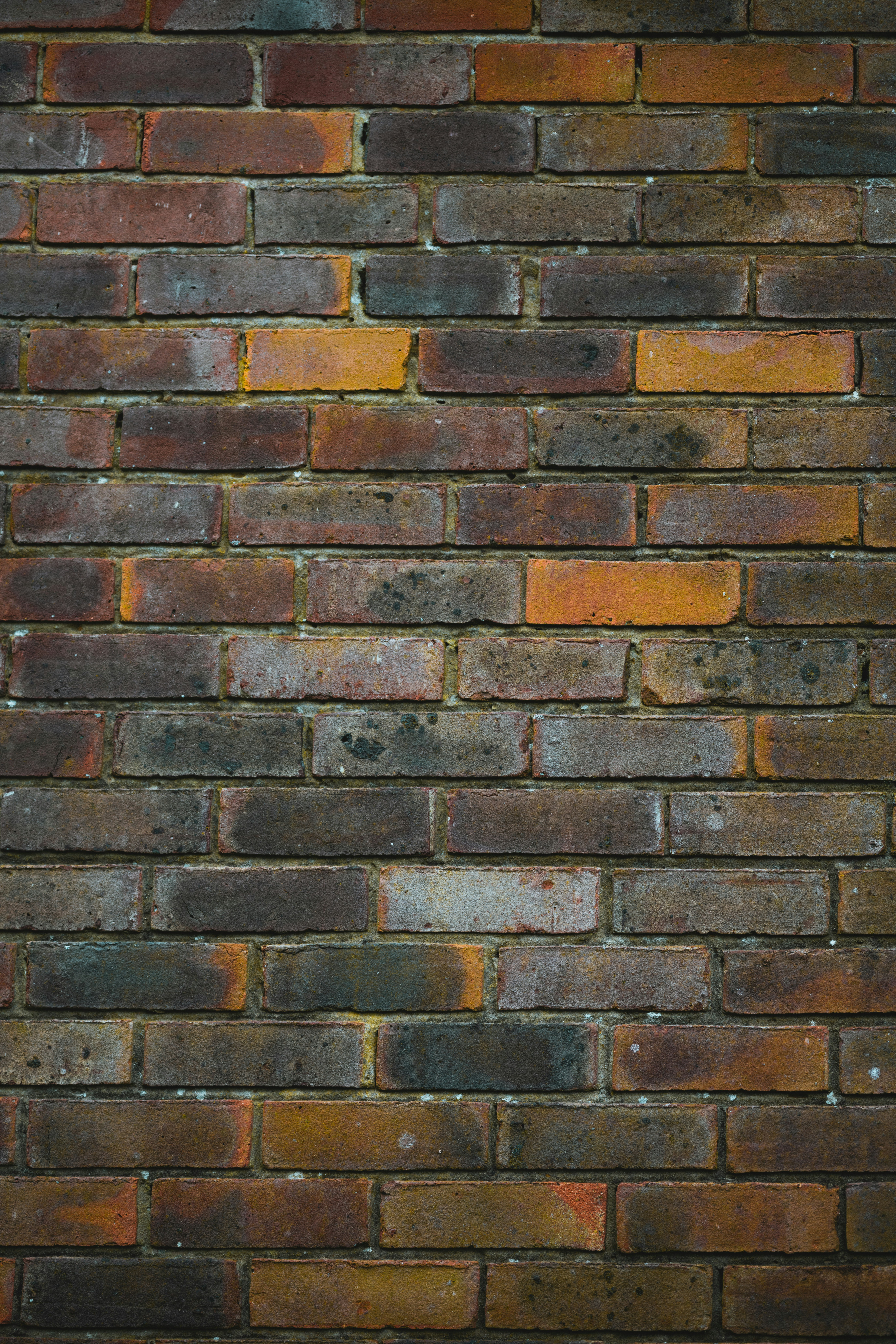 Photo by anniespratt