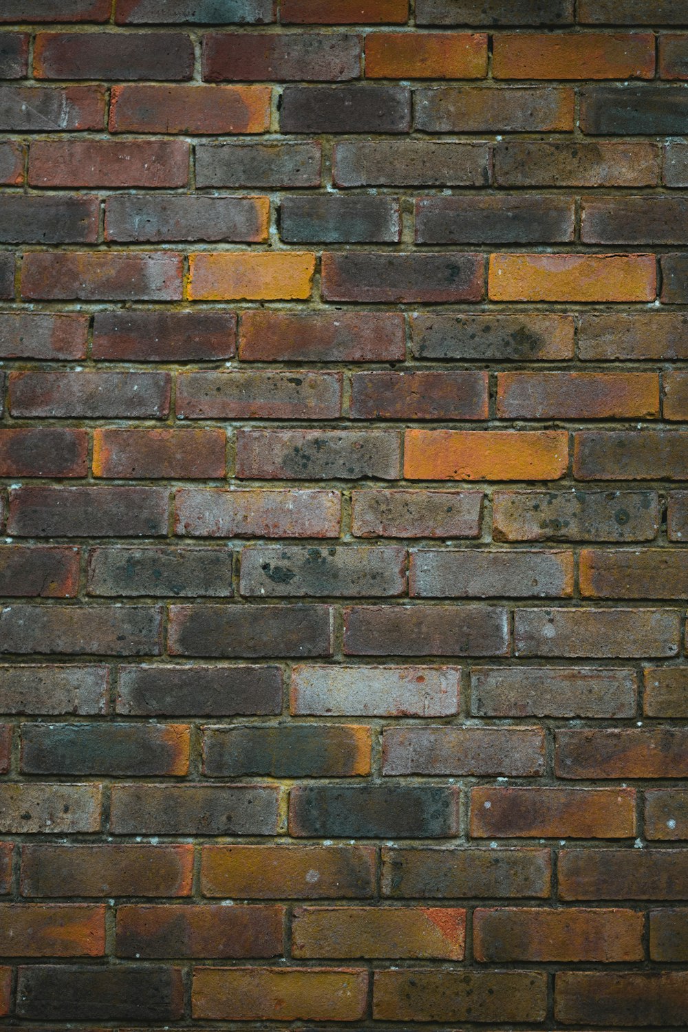 orange brick wall