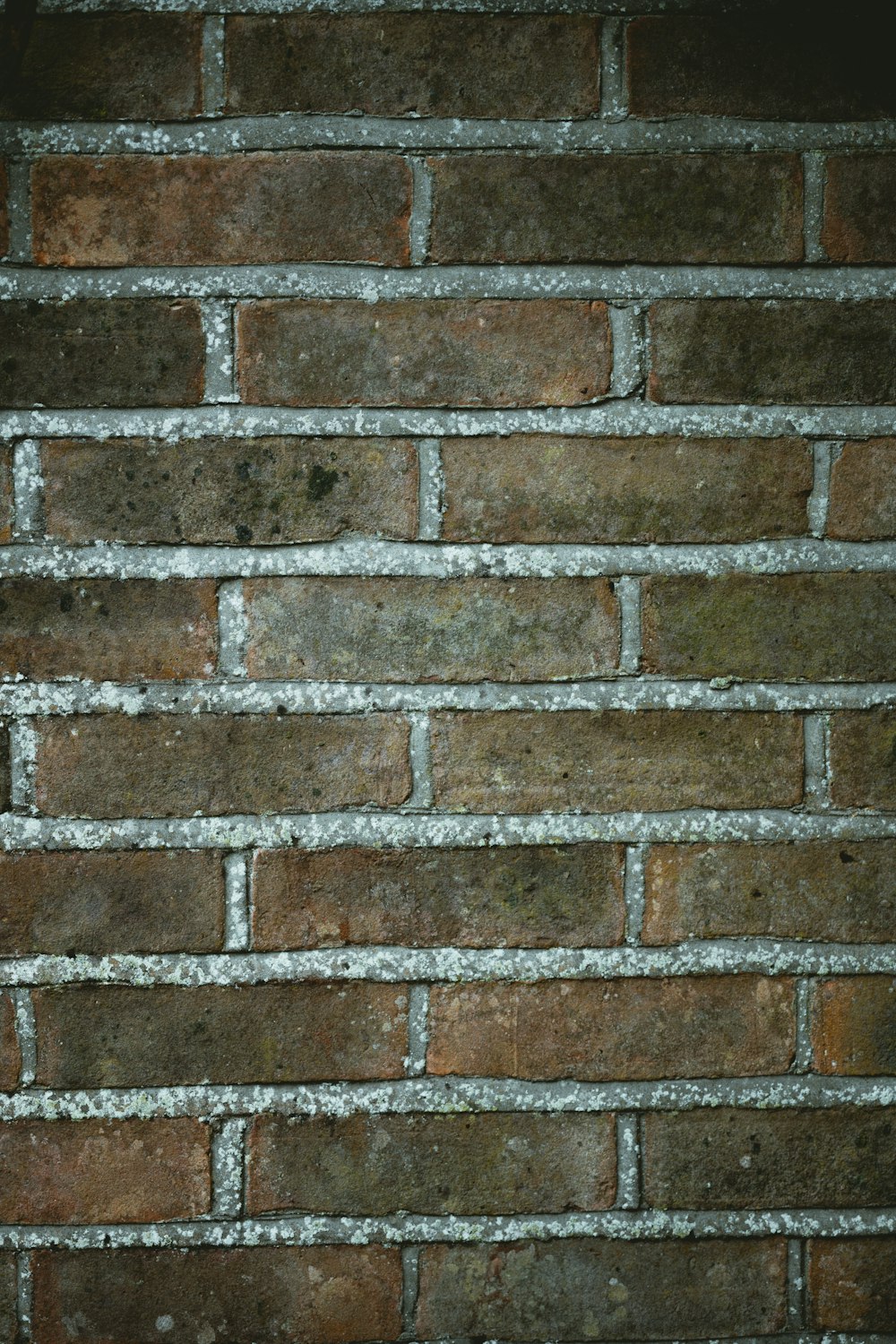 a close up of a brick wall made of bricks