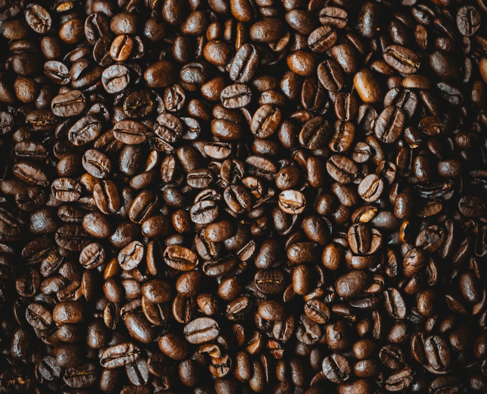 granos de café