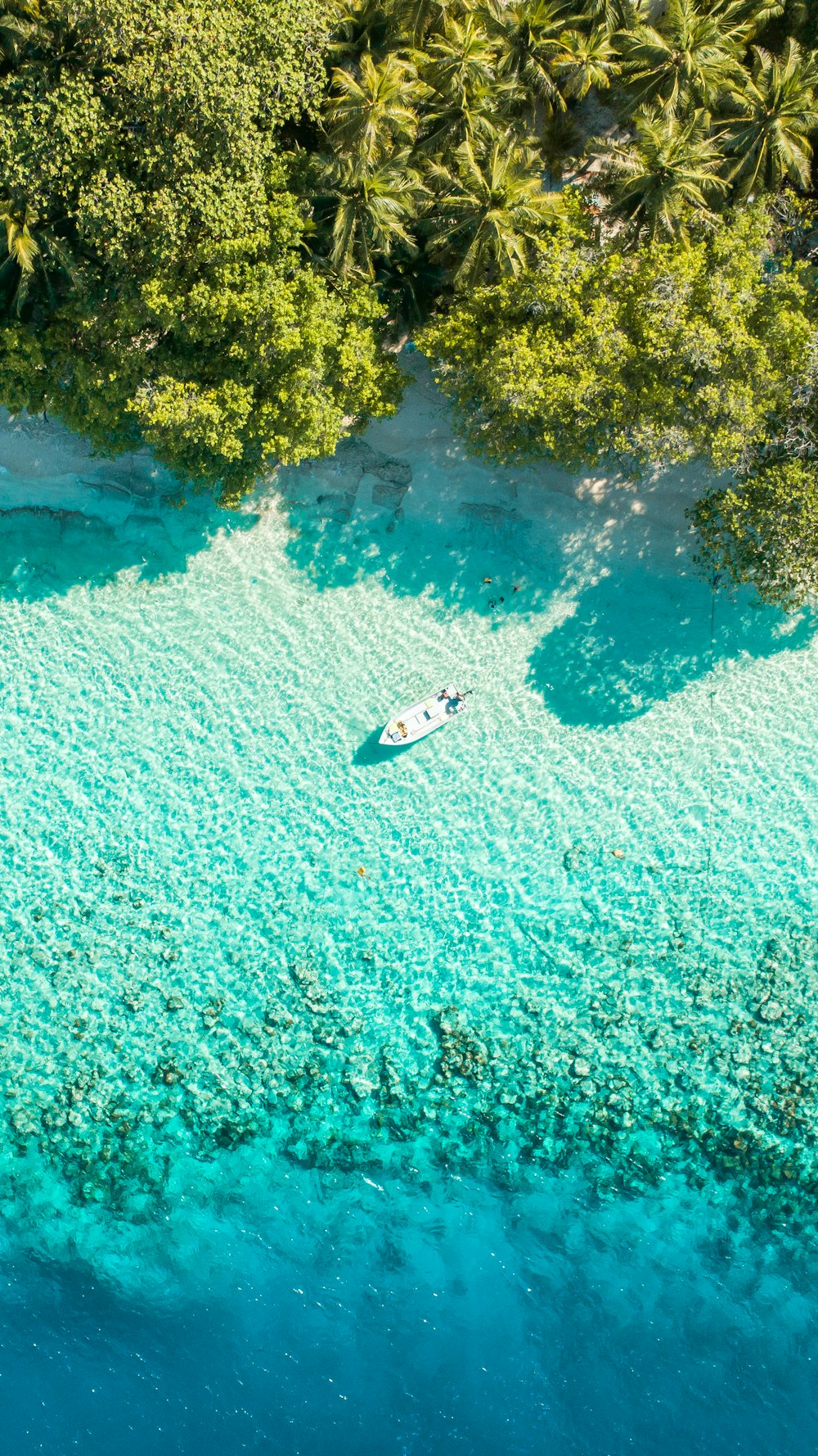 boat near shore