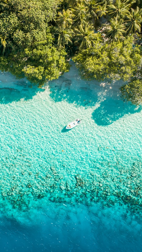 boat near shore in Kendhoo Maldives