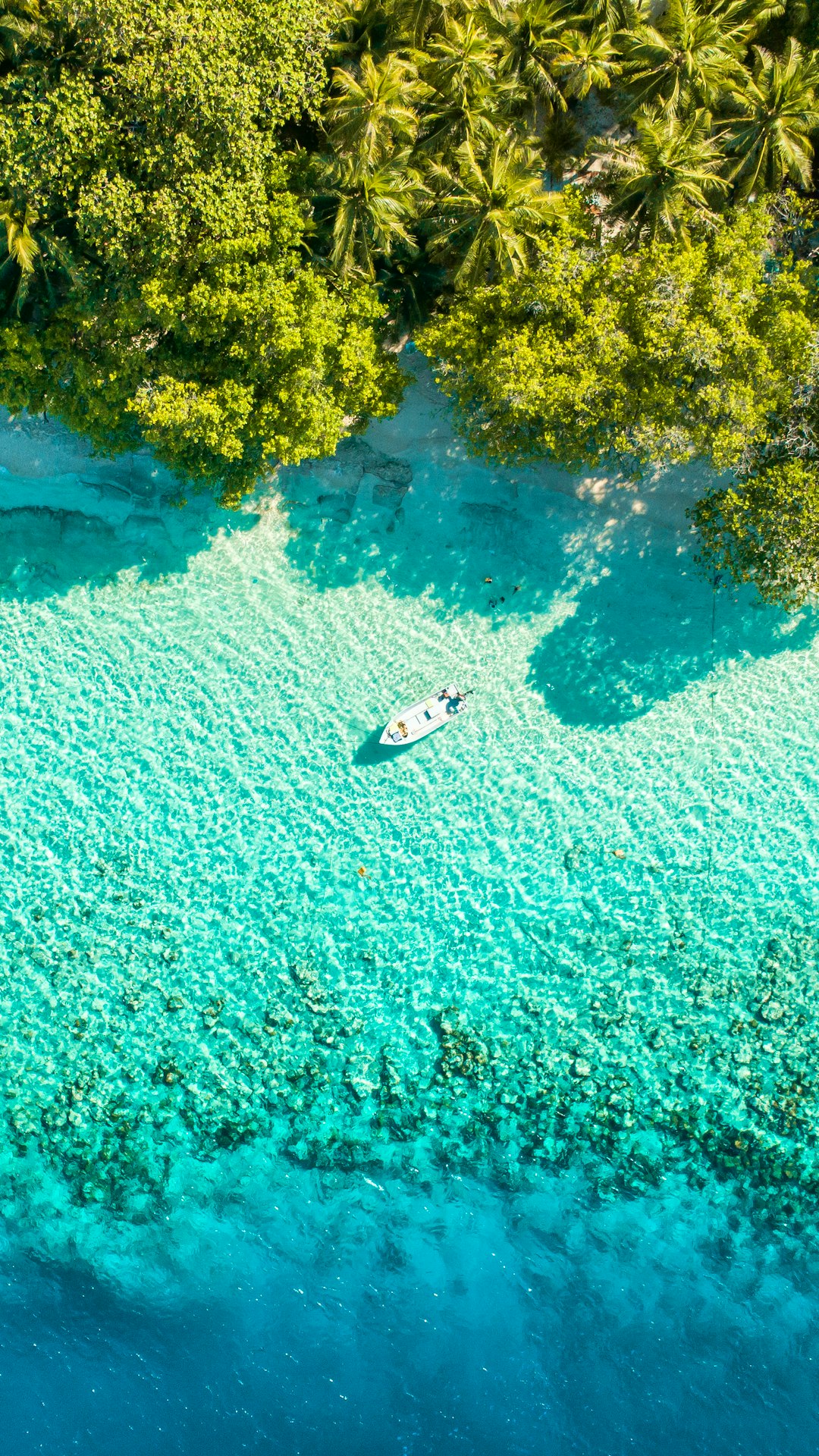 boat near shore