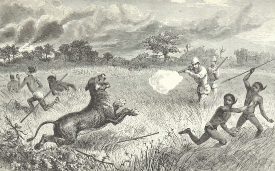 An old drawing depicts a group of men, some in European-style clothing and helmets, engaging with a lion in a grassland setting. Indigenous individuals, holding spears, appear to be fleeing or defending themselves. One man is firing a rifle at the lion, while smoke from the shot drifts through the air. Trees and clouds are visible in the background, adding to the tense and dramatic scene.