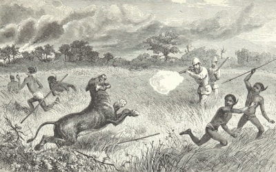 An old drawing depicts a group of men, some in European-style clothing and helmets, engaging with a lion in a grassland setting. Indigenous individuals, holding spears, appear to be fleeing or defending themselves. One man is firing a rifle at the lion, while smoke from the shot drifts through the air. Trees and clouds are visible in the background, adding to the tense and dramatic scene.