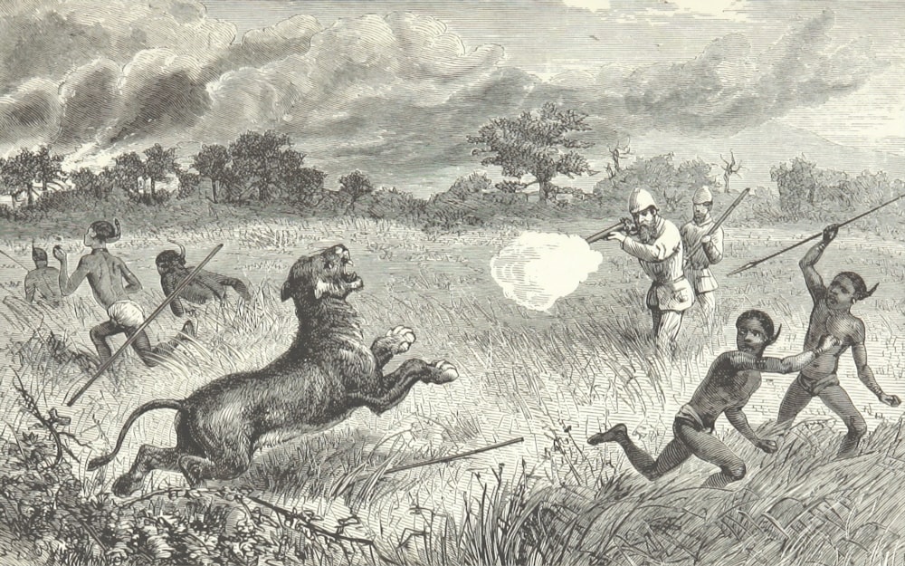 people hunting tiger charcoal painting