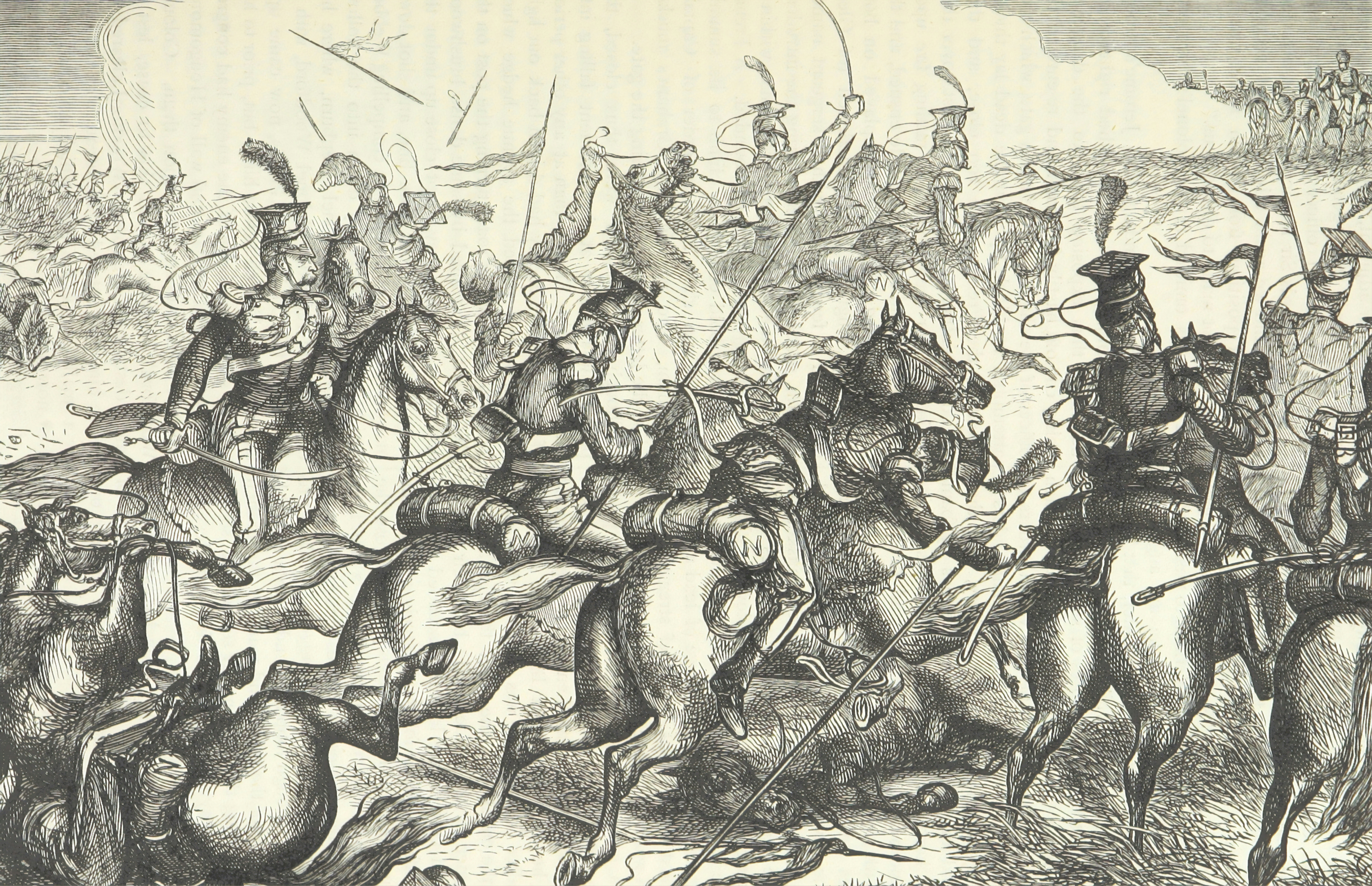 sketch of horses