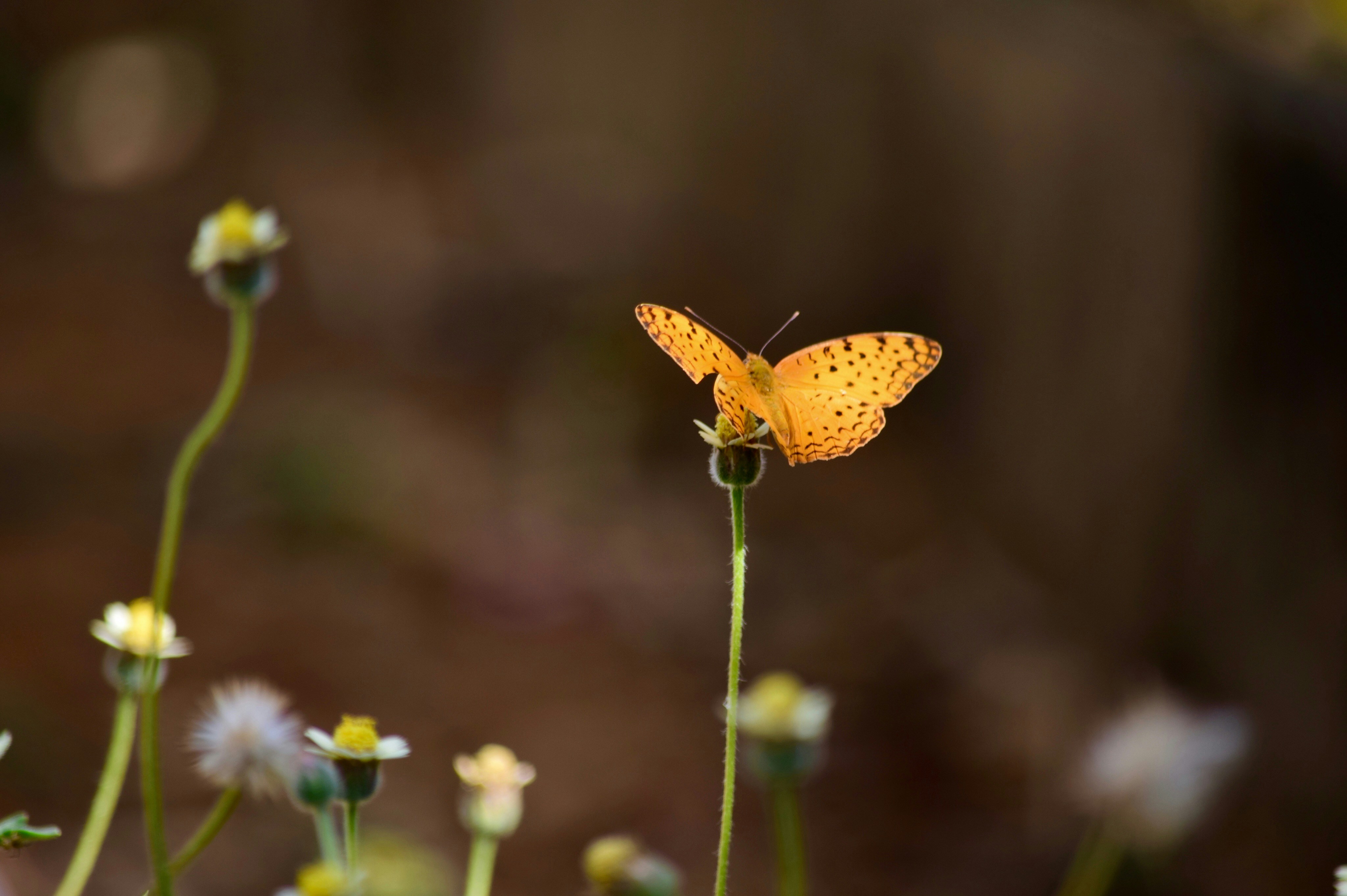 Photo by rrajputphotography