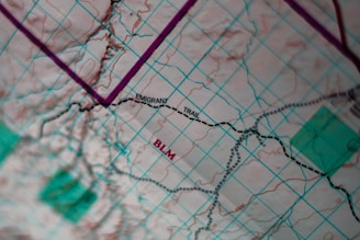 A close-up view of a topographical map featuring a grid overlay. The map highlights the 'Emigrant Trail' and 'BLM' in bold text. There are marked trails with dashed lines and various geographical features such as contours and elevations.