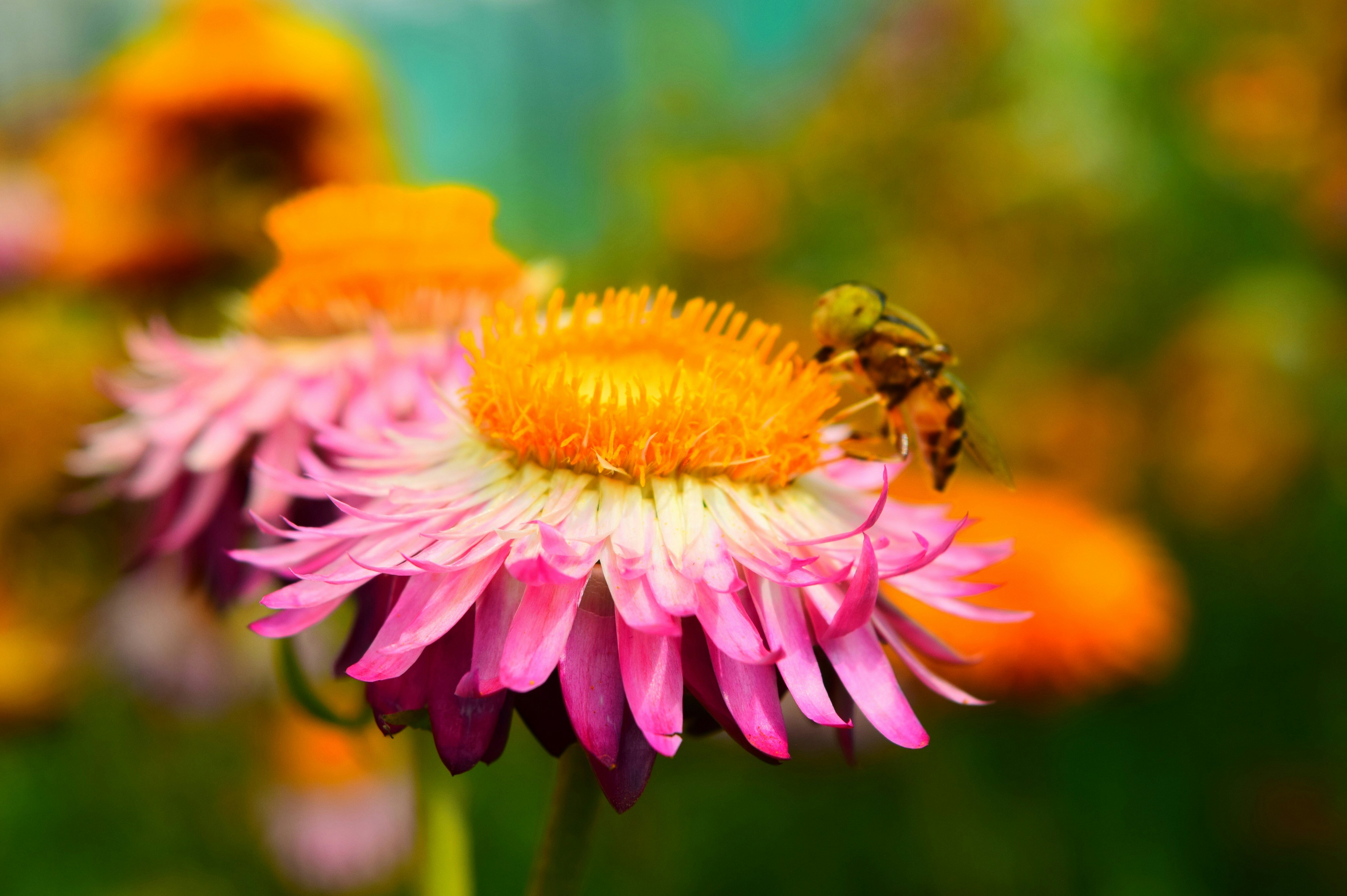 Photo by rrajputphotography