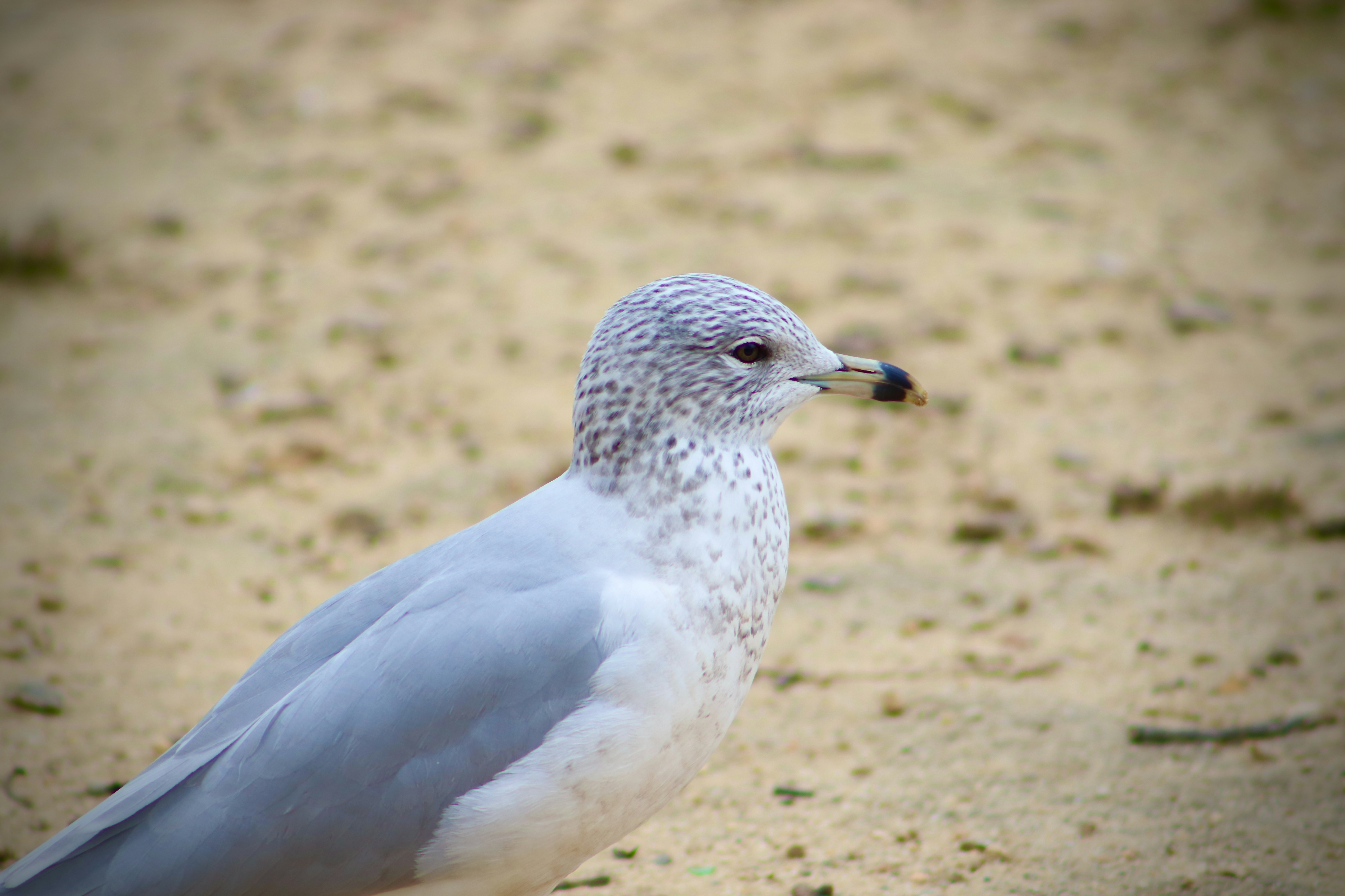 Photo by mrperfect229