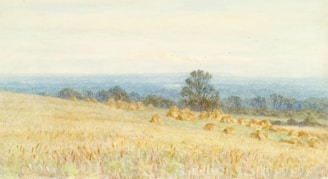 photography of open field during daytime