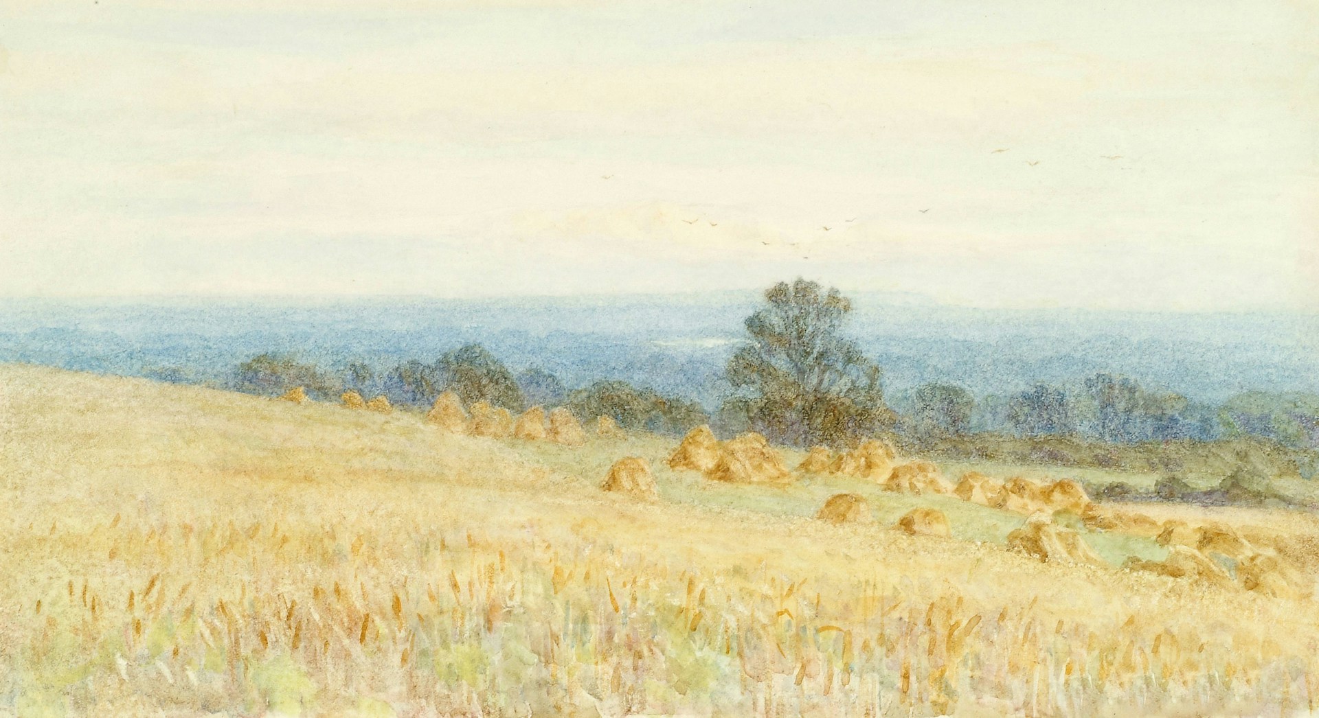 photography of open field during daytime