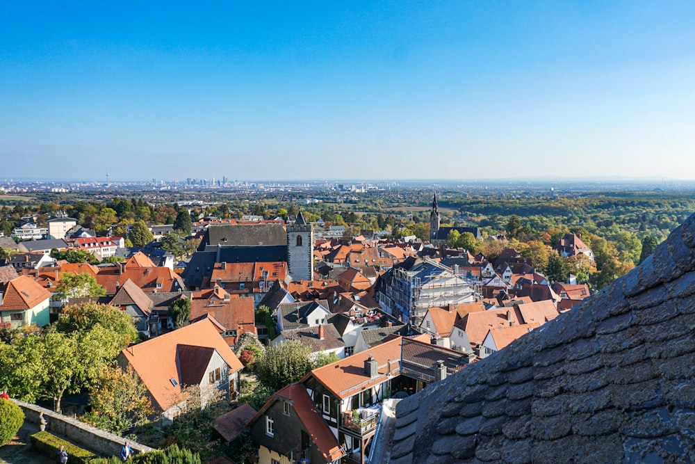 bird's eye photography of houses