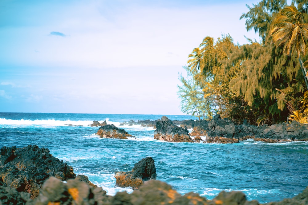 rocky island during day