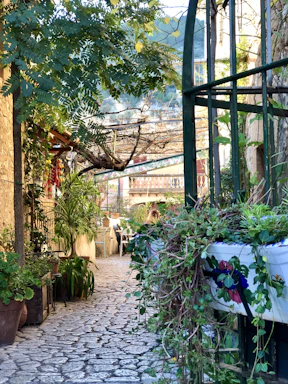 A welcoming garden pathway leading to a cozy outdoor seating area at sunset.