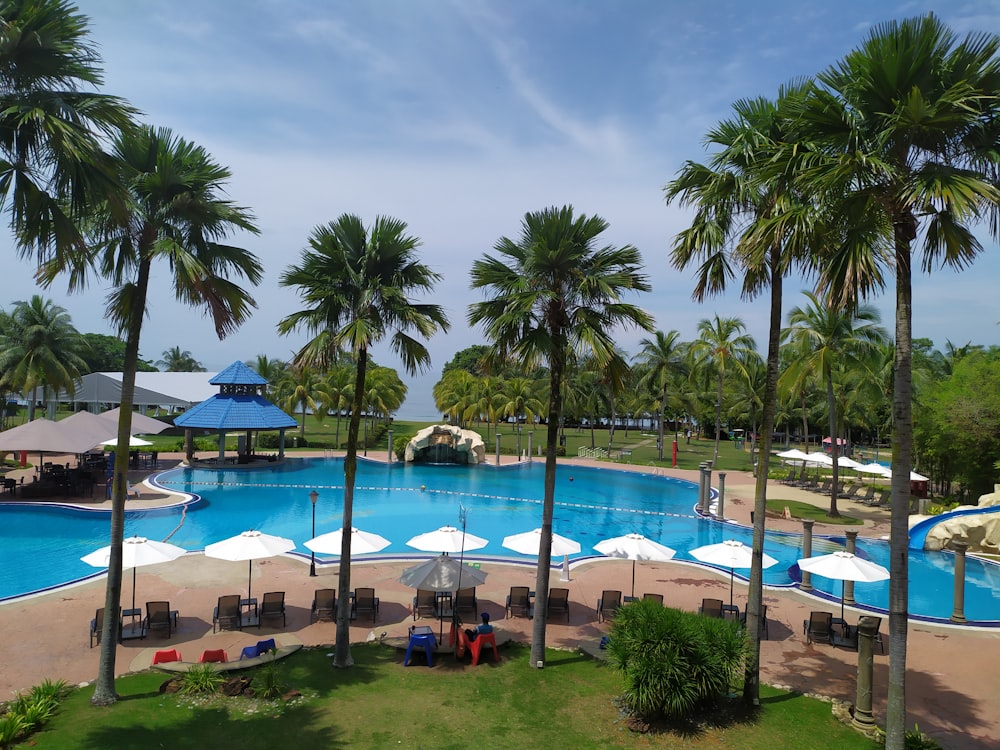 empty loungers near pool