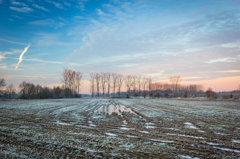 Limburg