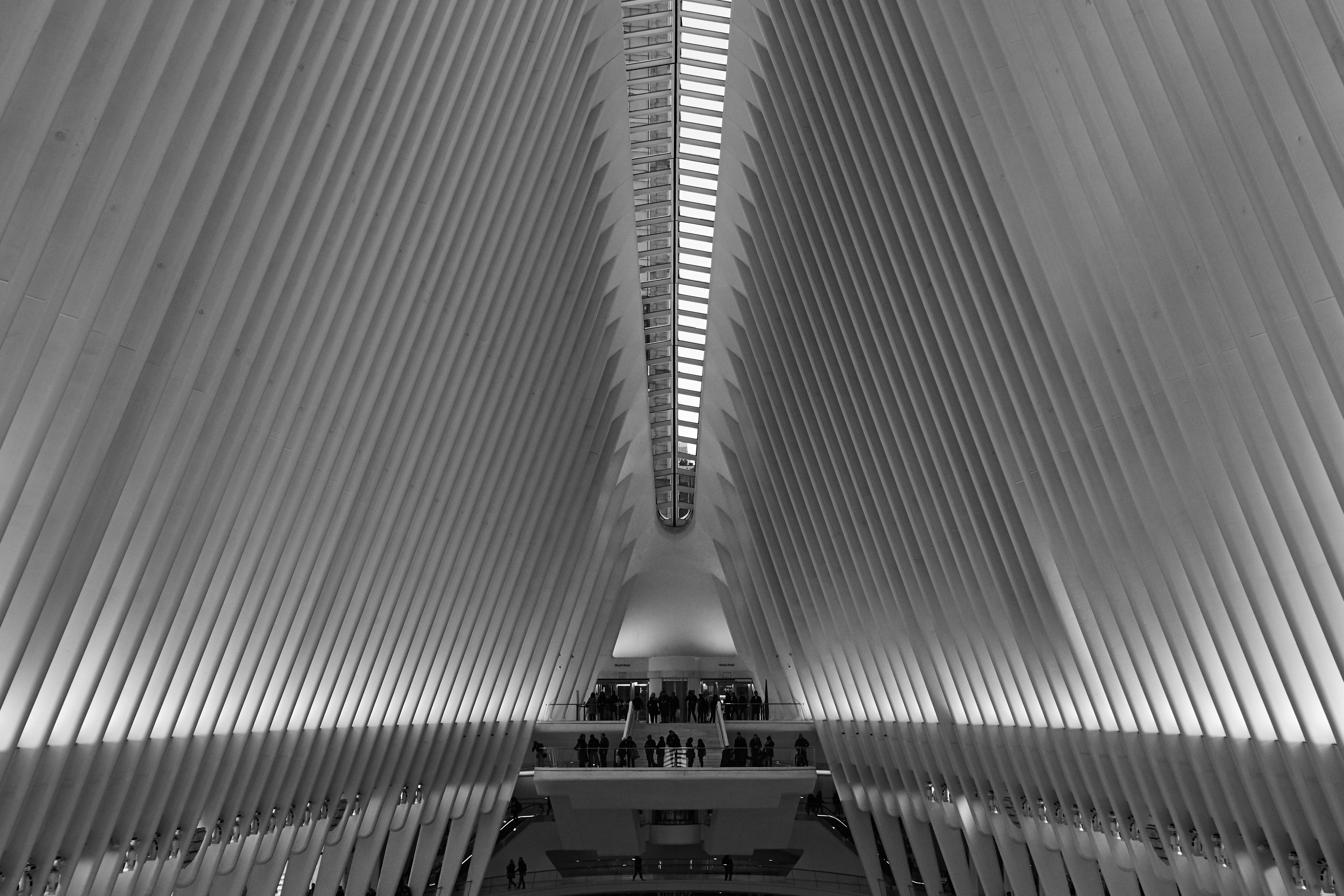 Photo by klemensjose