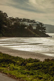 A coastal landscape featuring a modern house perched on a cliff surrounded by tall pine trees. The shoreline is visible below, with gentle waves creating a pattern on the wet sand. The sky is overcast, casting a serene and somewhat moody atmosphere over the scene.