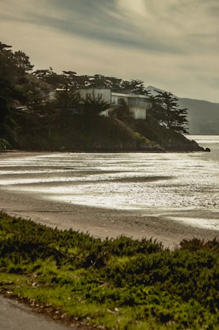 A coastal landscape featuring a modern house perched on a cliff surrounded by tall pine trees. The shoreline is visible below, with gentle waves creating a pattern on the wet sand. The sky is overcast, casting a serene and somewhat moody atmosphere over the scene.