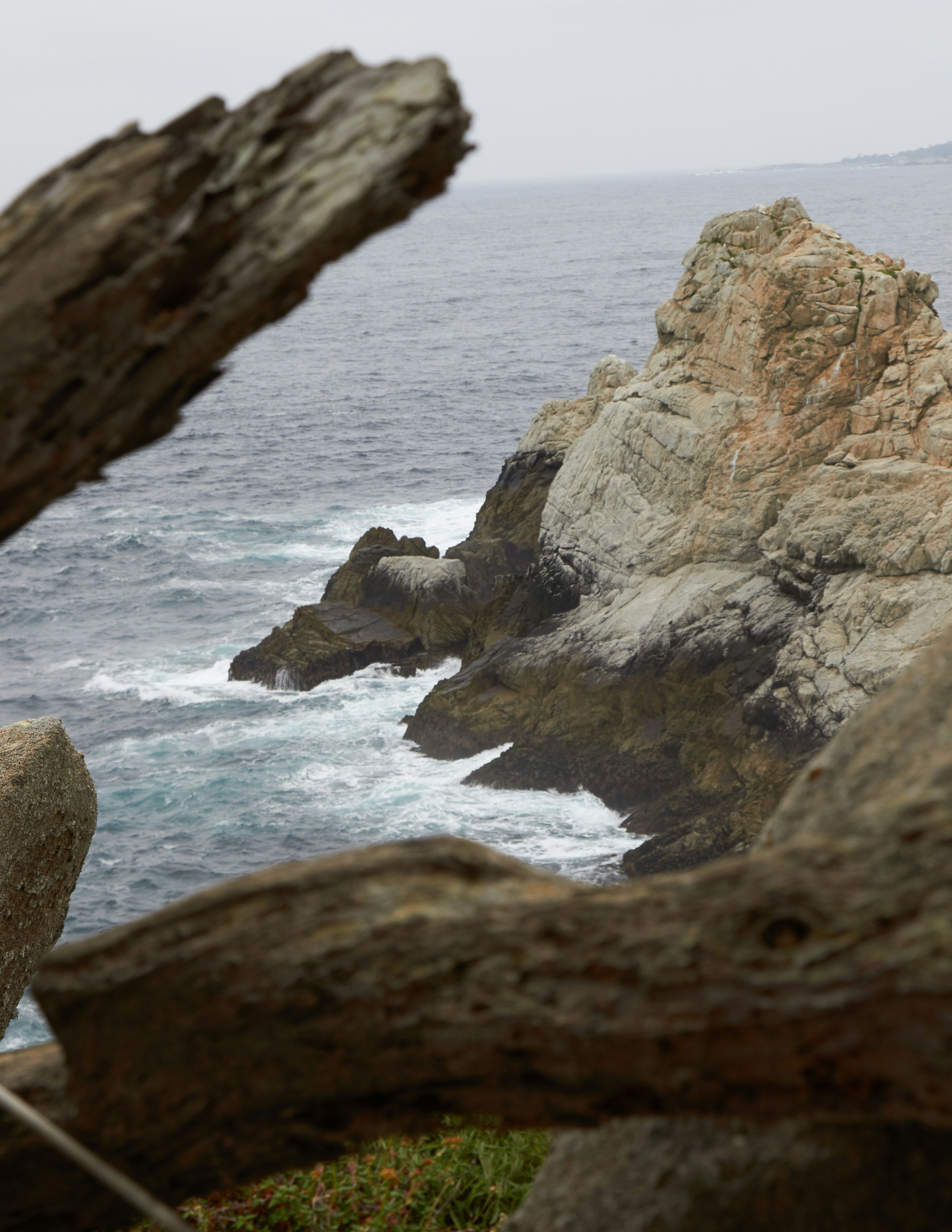 Photo by klemensjose