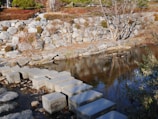 A natural setting featuring a small creek with rectangular stone stepping stones crossing it. The background includes a stone wall with various plants and a bare tree by the water's edge. The scene has a tranquil and organized landscape design.