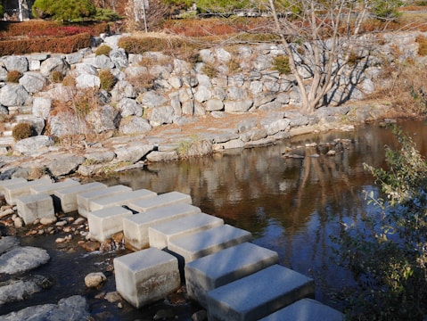 A natural setting featuring a small creek with rectangular stone stepping stones crossing it. The background includes a stone wall with various plants and a bare tree by the water's edge. The scene has a tranquil and organized landscape design.