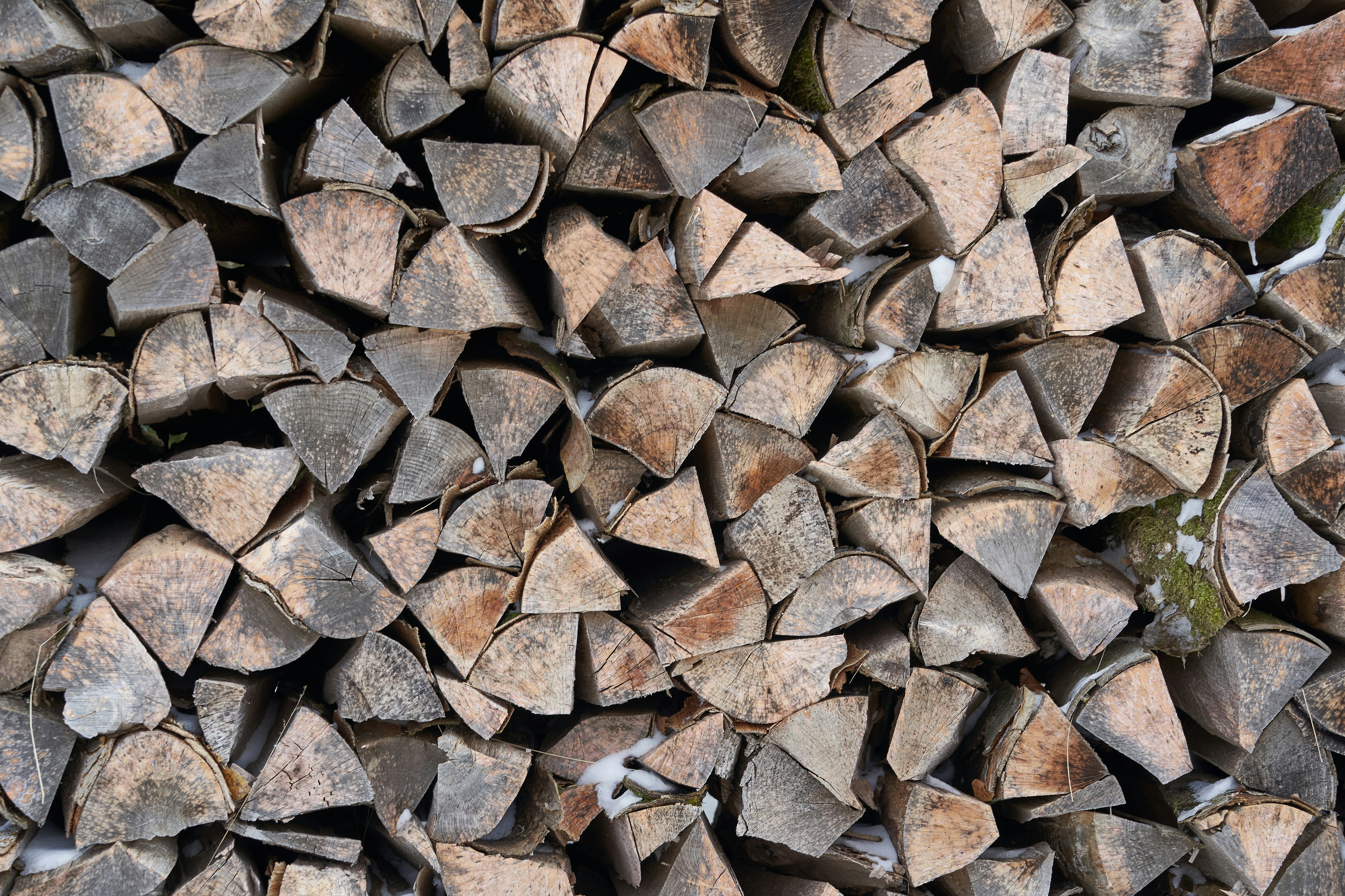 Photo by wolfgang_hasselmann