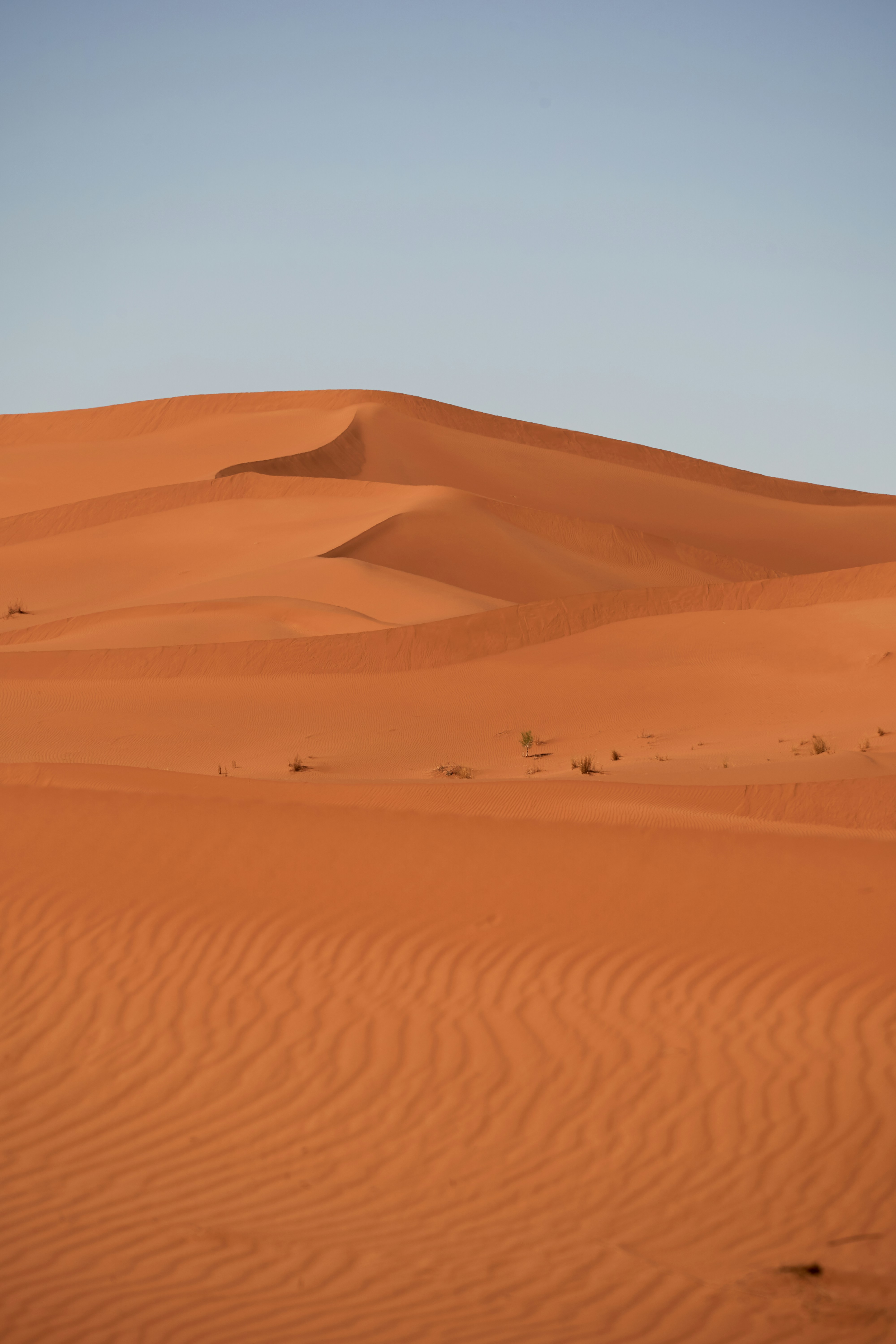 Photo by wolfgang_hasselmann