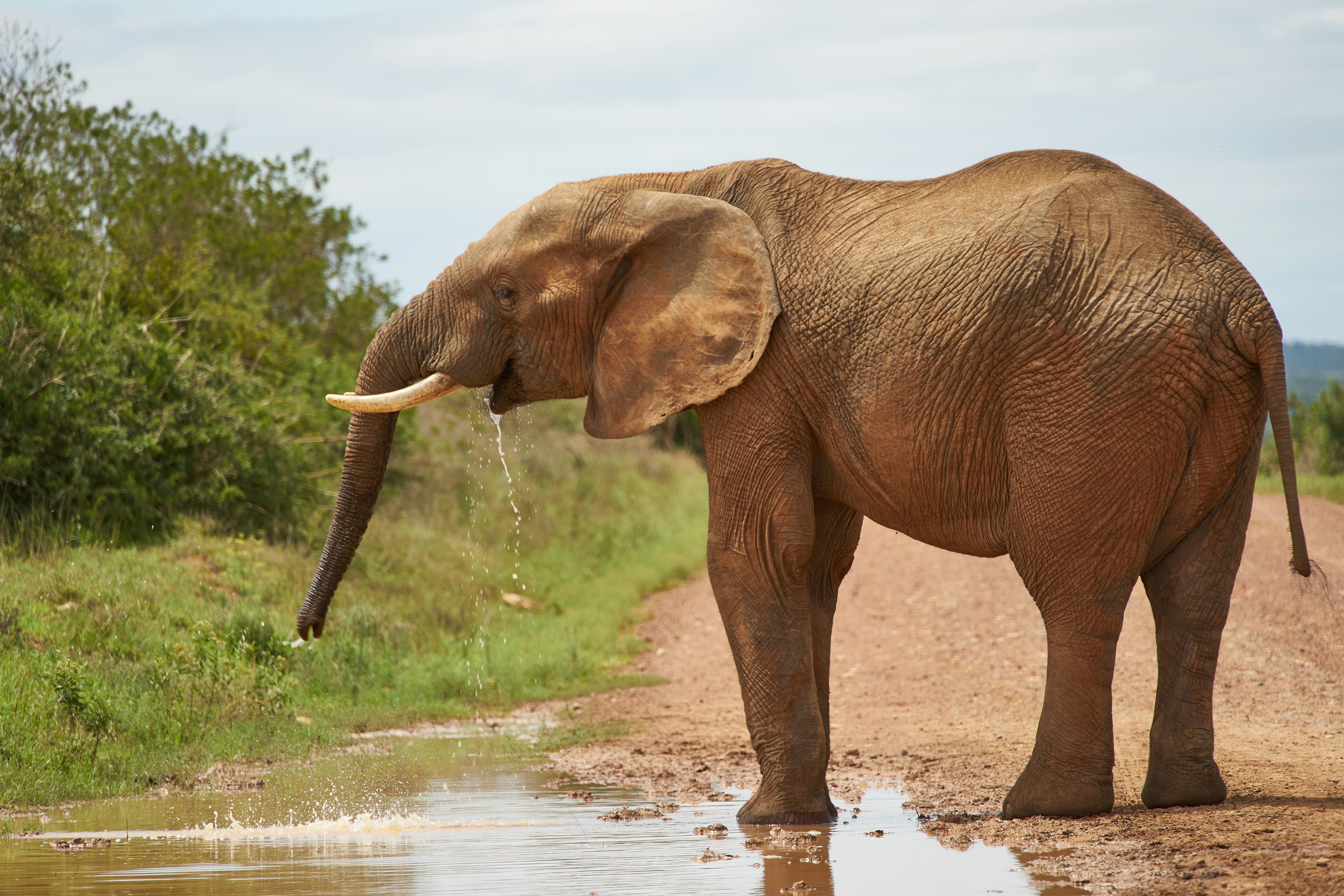 Photo by wolfgang_hasselmann