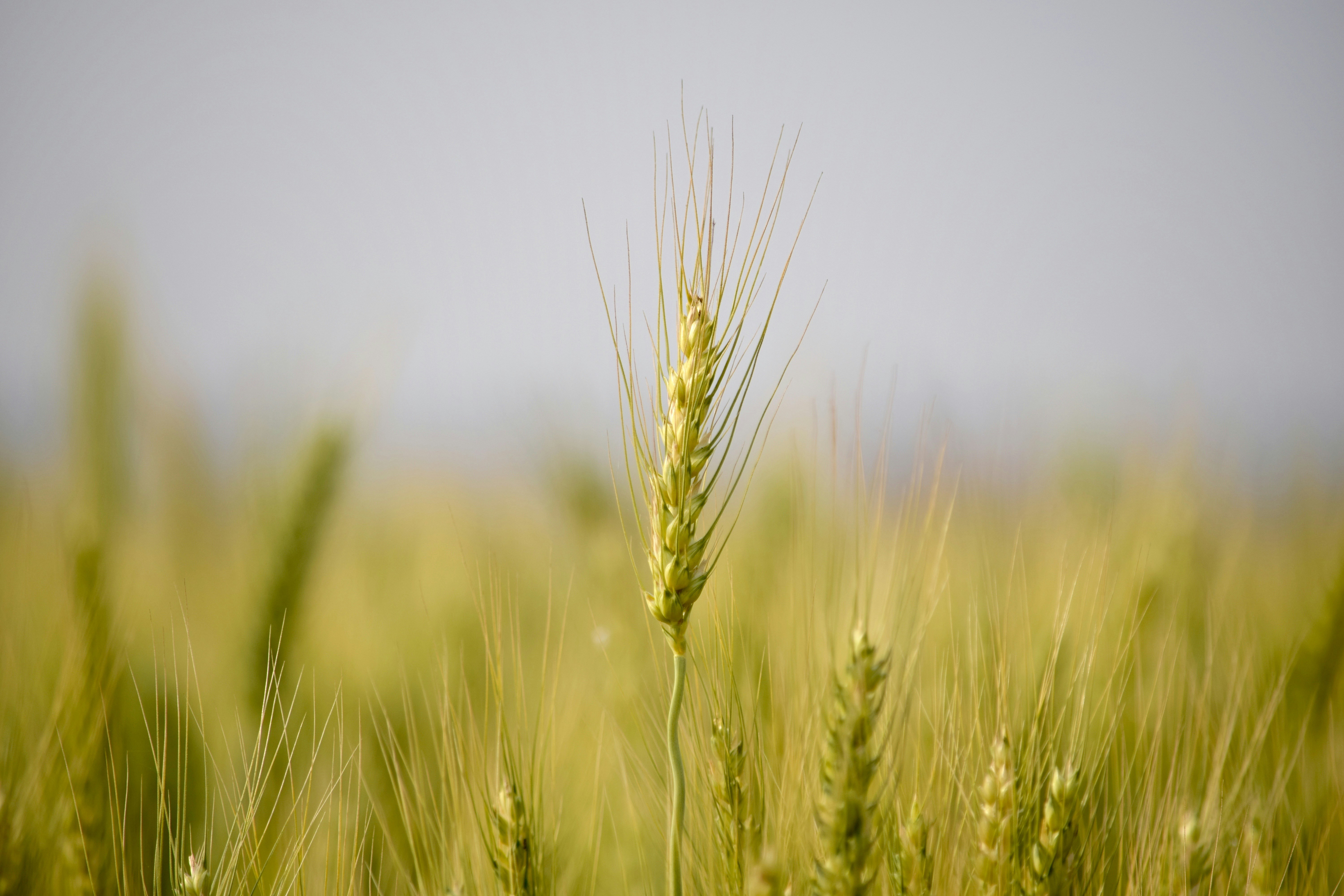 Photo by rrajputphotography