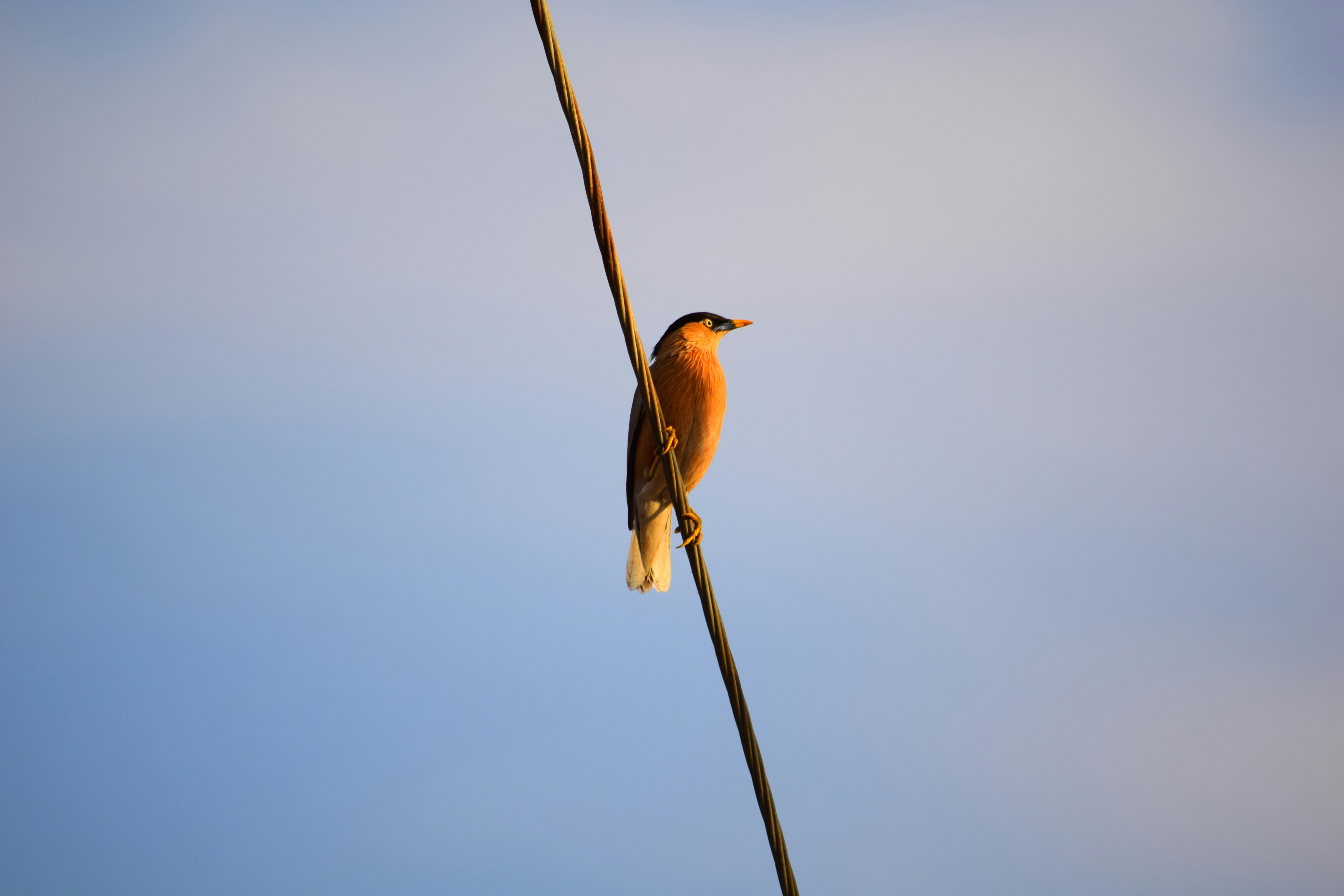 Photo by rrajputphotography