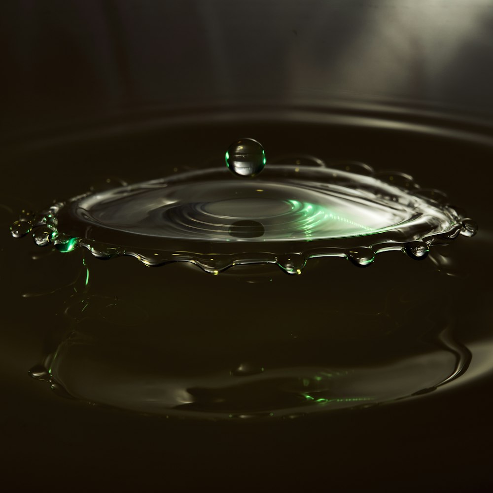 shallow focus photo of water droplets