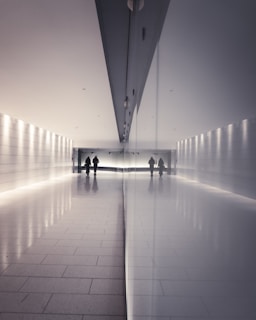 Shiny granite floor with a mirror-like finish in a modern hallway.