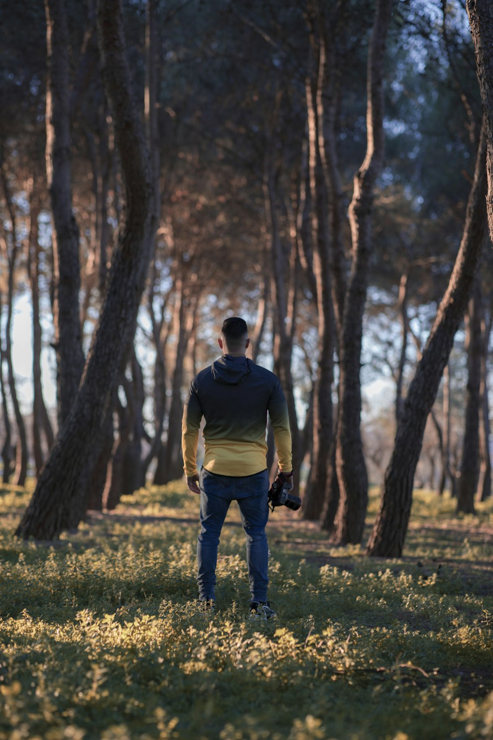 man standing between green trees during daytime