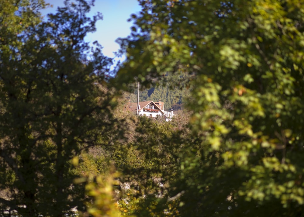 Weißes und braunes Haus, tagsüber von Bäumen umgeben