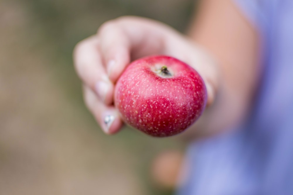 selective focus photography of red apple
