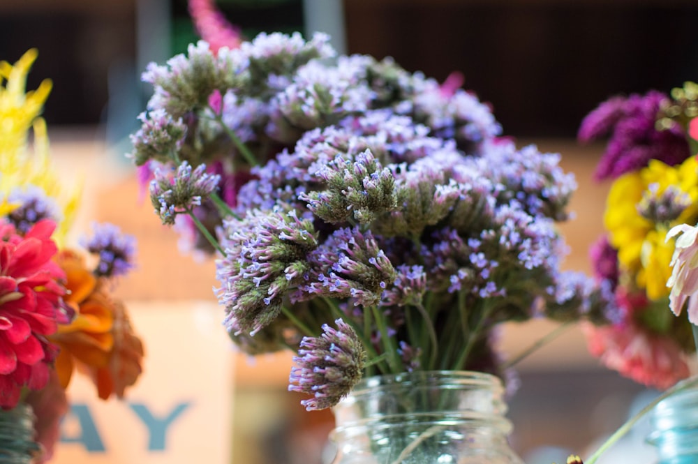 selective focus photography of jar of purple-petaled flower