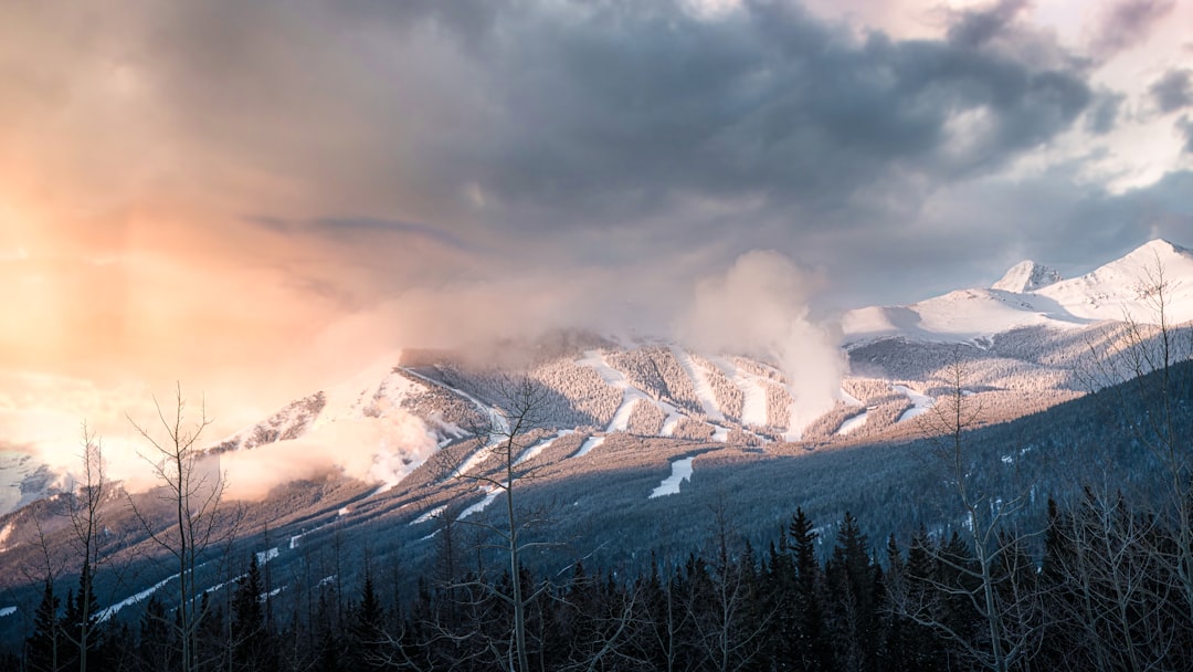 Mountain range photo spot Nakiska Ski Area Bow Valley Provincial Park - Kananaskis Country