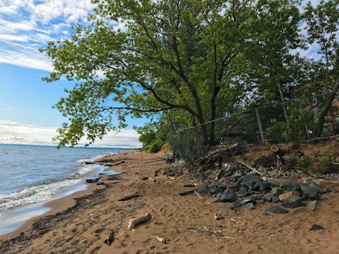 Volunteers planting native vegetation along a sandy shoreline to prevent erosion.