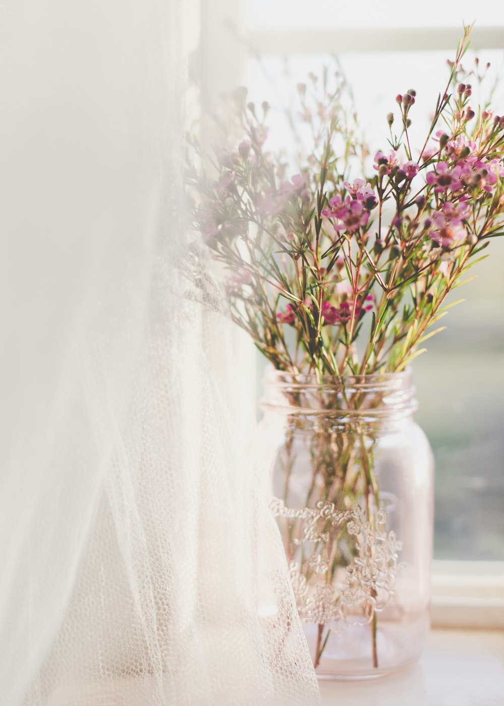 jar of pink-petaled flower near window