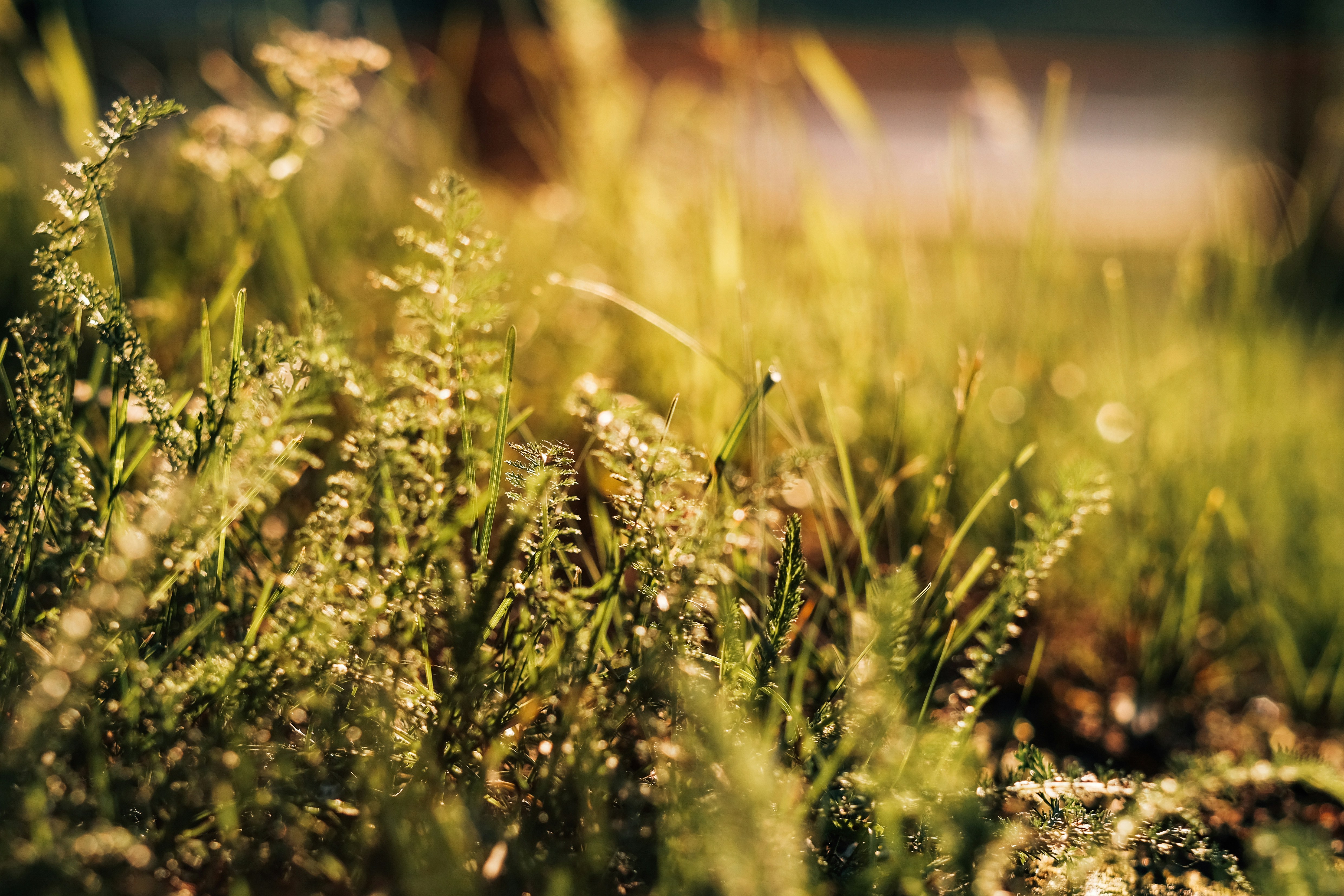 Photo by alex_akimenko