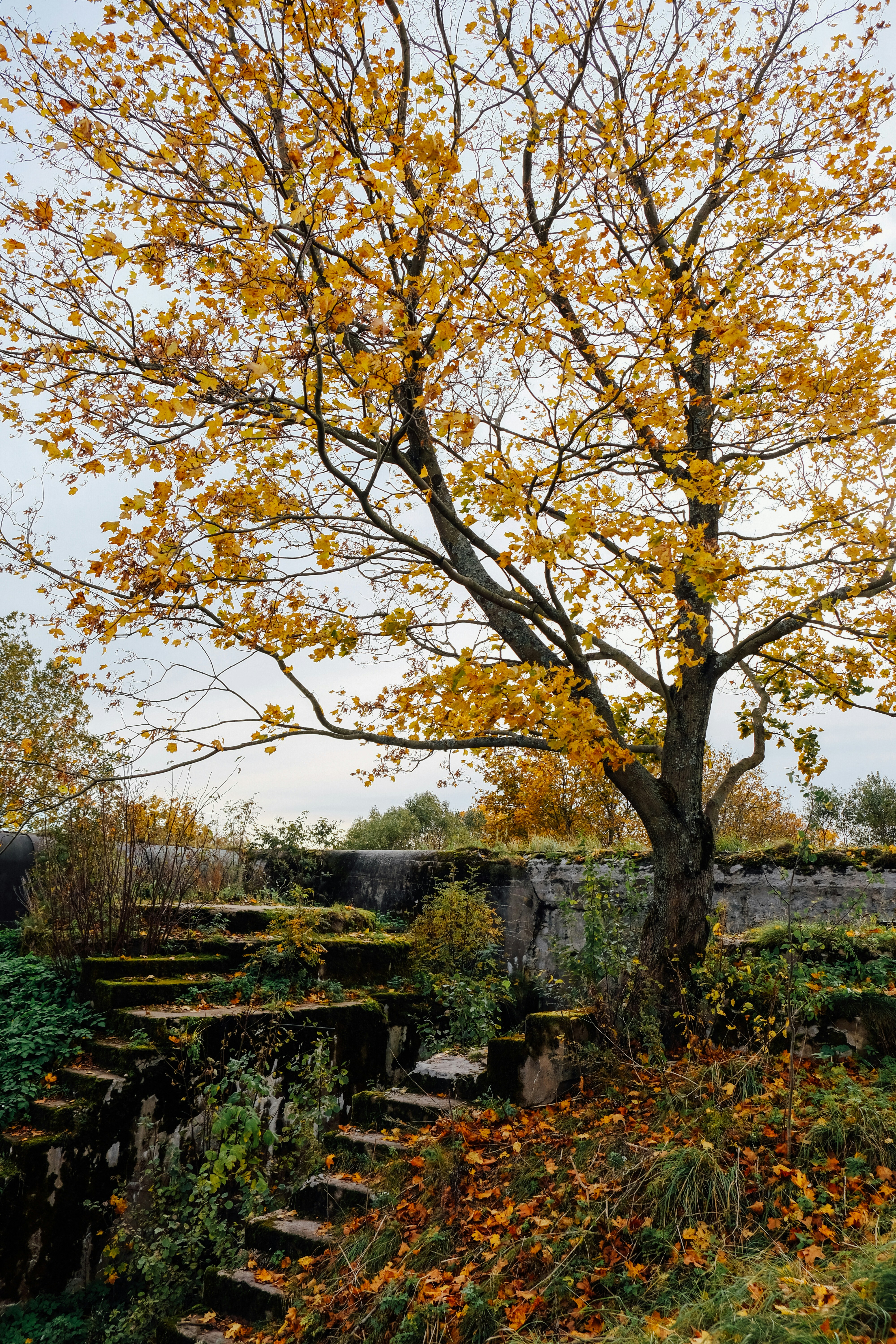 Photo by alex_akimenko