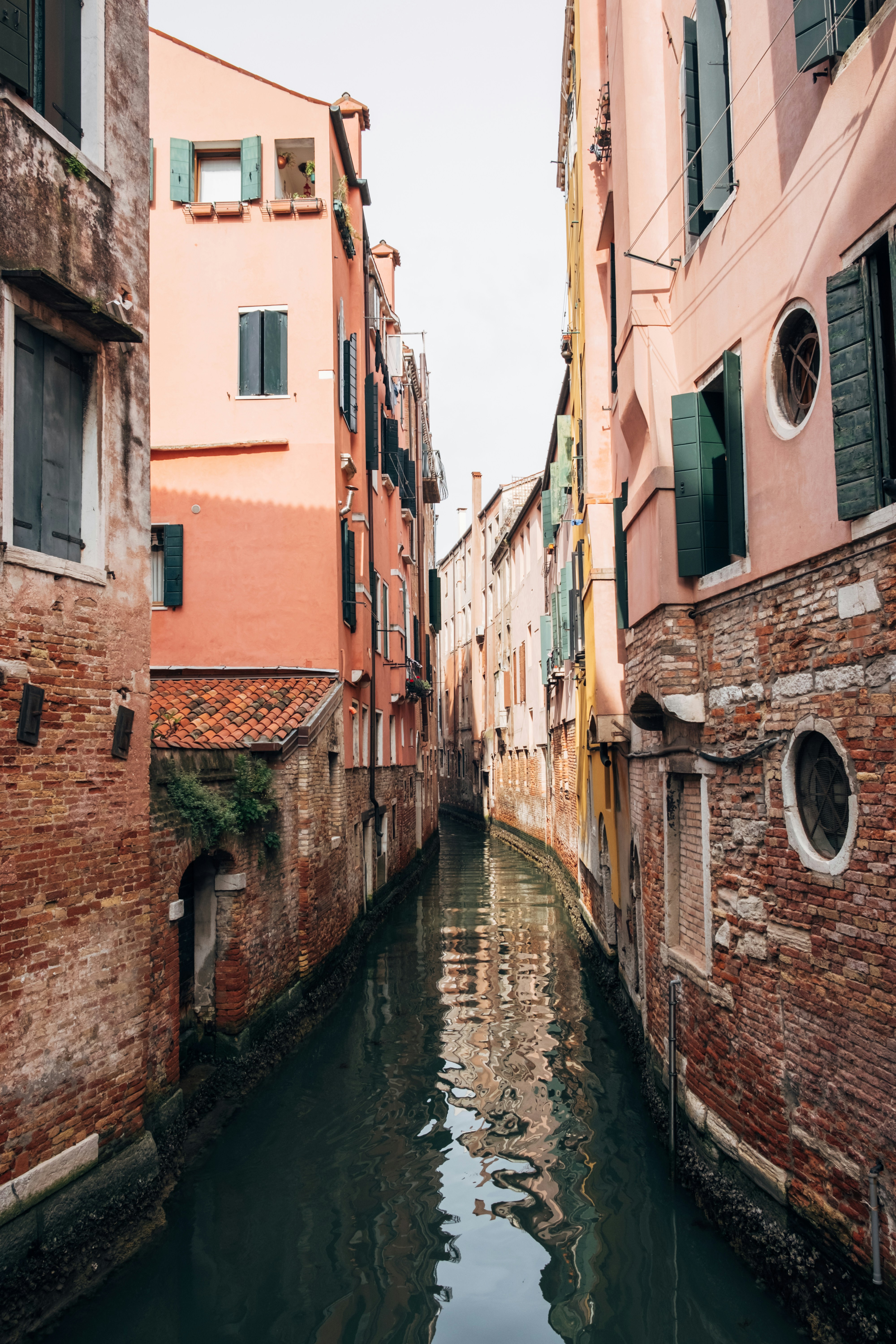 Photo by alex_akimenko