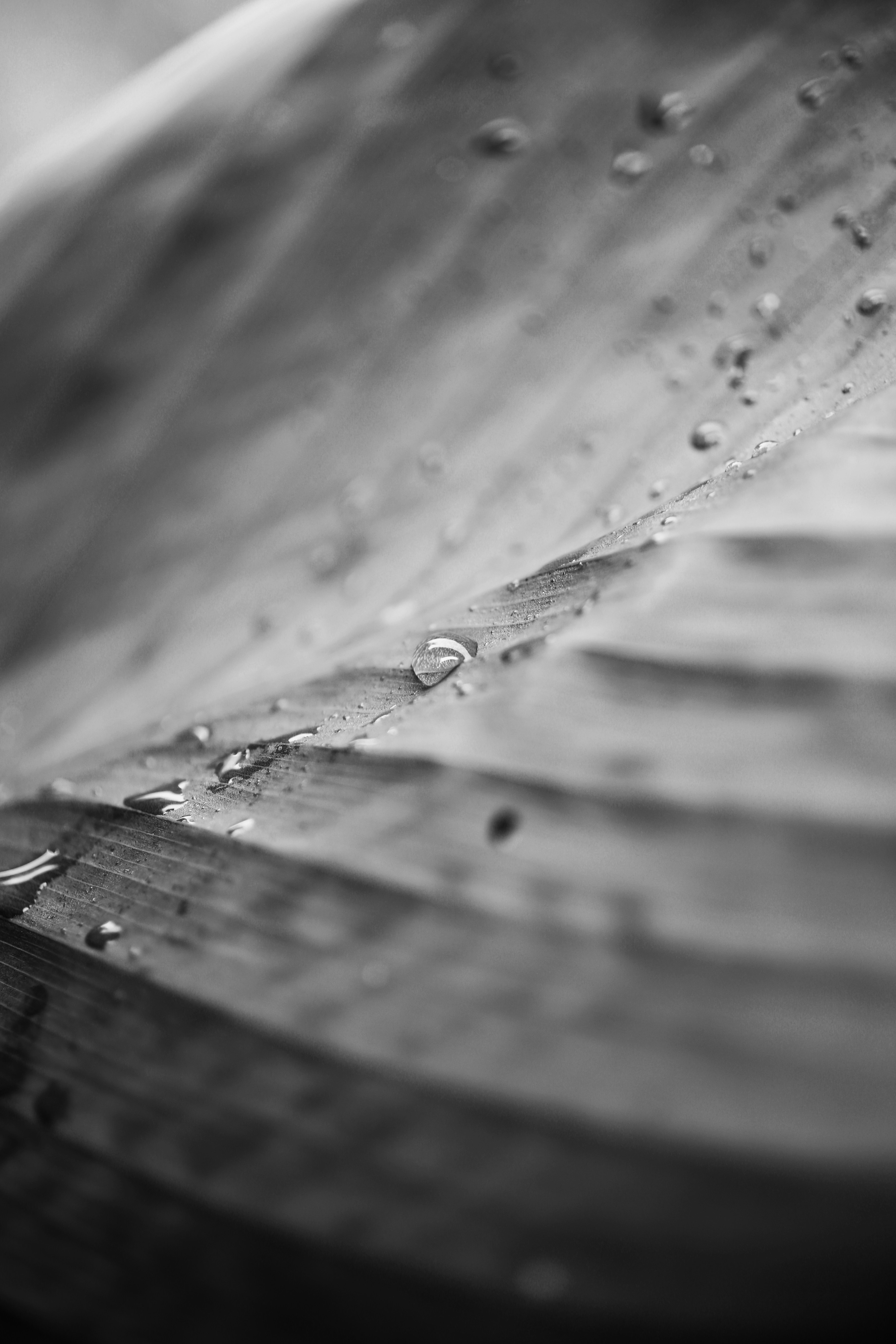 Clariwave Pool Filter